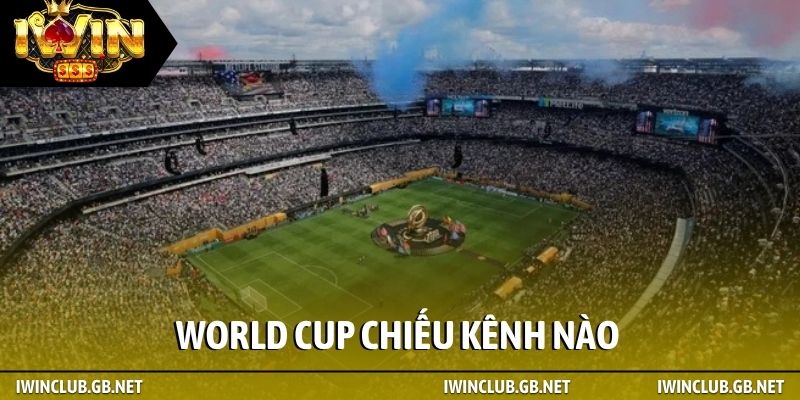 World Cup chiếu kênh nào